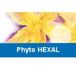Phyto HEXAL